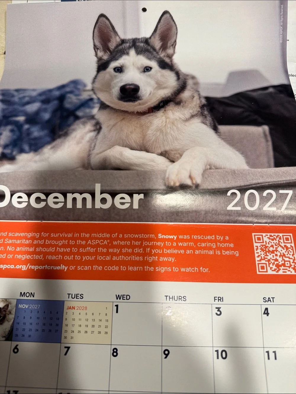2027 Special Edition Calendar - Cream/Orange